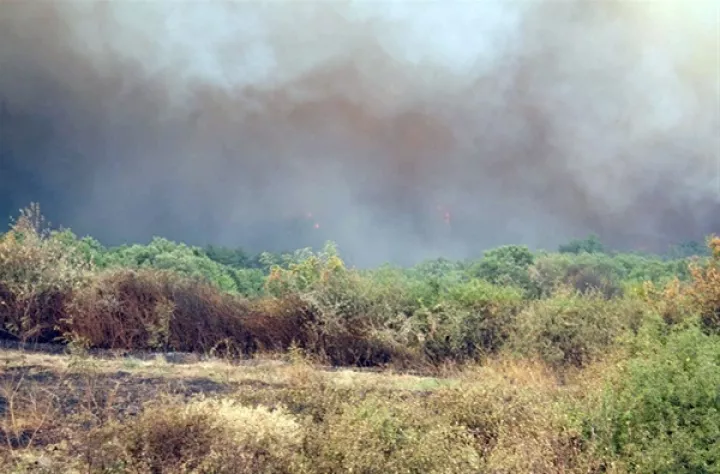 Έβρος: Μετανάστες έβαλαν φωτιά σε δασική έκταση 
