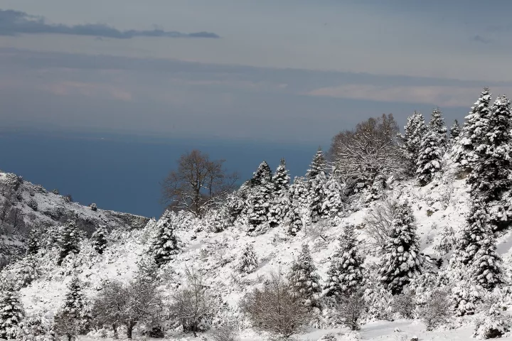 Καιρός: Παγετός στη Βόρεια Ελλάδα και θυελλώδεις βοριάδες στο Αιγαίο