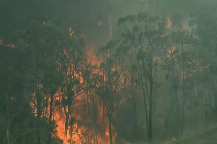 Αυστραλία: Εθελοντής πυροσβέστης κατηγορείται ότι έβαλε σκοπίμως φωτιές 