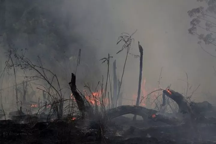 ΥΠΕΞ Βραζιλίας: Δεν υπάρχει καμιά «καταστροφή εξαιτίας της κλιματικής αλλαγής» 