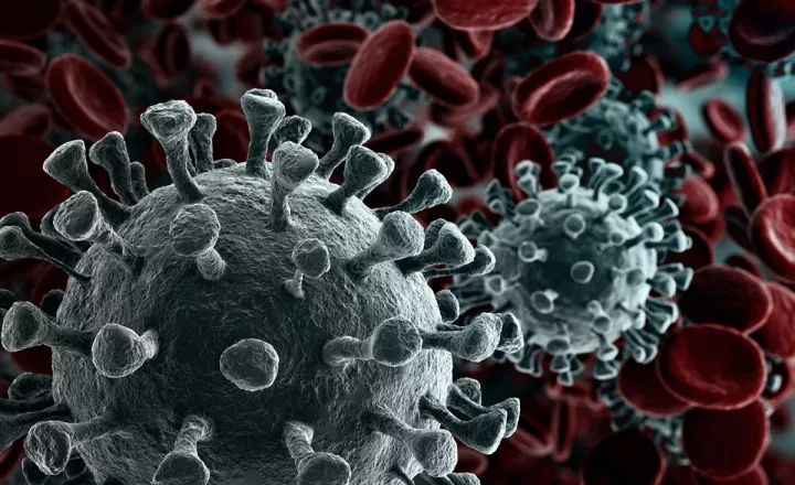 Ένας ιός με γενετικές ομοιότητες με τον SARS-CoV-2 είχε πιθανόν εμφανιστεί στην Κίνα το 2012