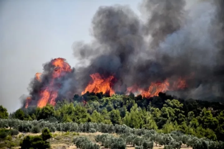 Σε ύφεση η πυρκαγιά στον Κρουσώνα Κρήτης - Ζημιές σε εργοστάσιο