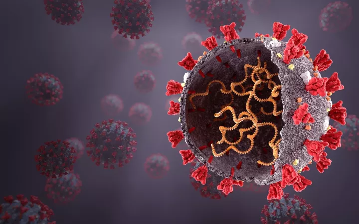 Έρευνες: Η βρετανική μετάλλαξη του ιού δεν προκαλεί θανατηφόρα Covid-19 