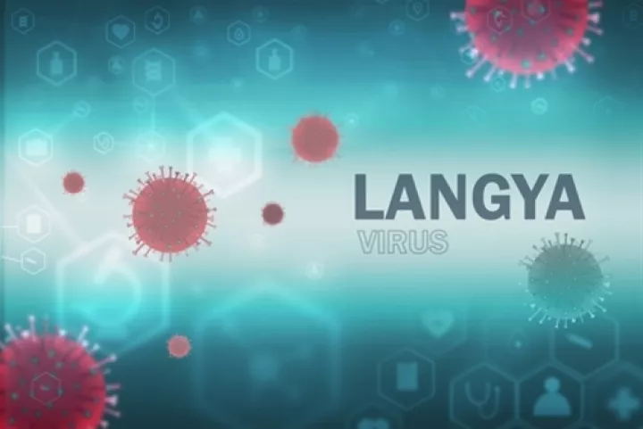 ΕΟΔΥ για τον ιό Langya από την Κίνα: Δεν υπάρχει λόγος για ιδιαίτερη ανησυχία